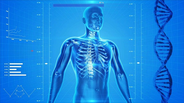 Osteoporosi: cos’è, cause, sintomi e diagnosi
